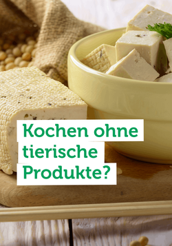 Produktfoto zu Mit unserem Tofu und Fleischalternativen klappt’s lecker und einfach.