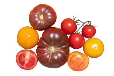 Produktfoto zu Tomaten - Alte Sorte 1kg