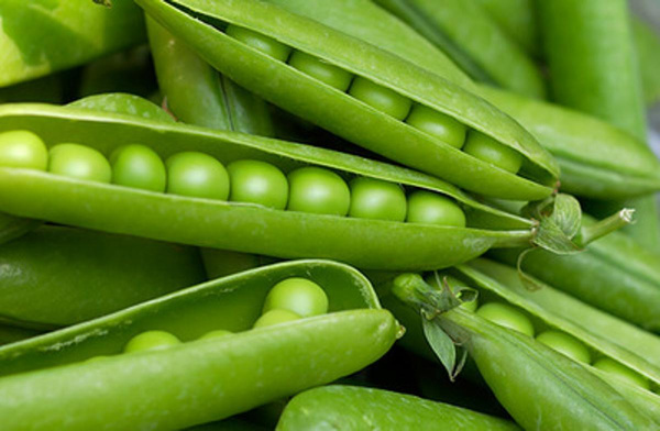 Produktfoto zu Erbsen in der Schote, 250g