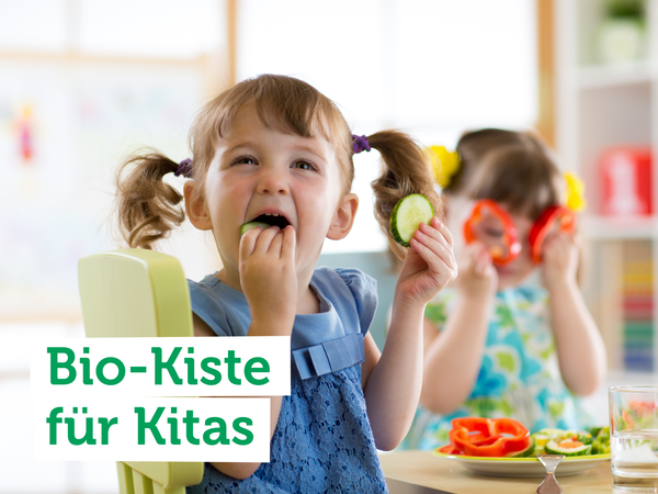Eine blaue Kiste mit verschiedenen Bioprodukten. Text auf dem Bild: "Bio für den Alltag".