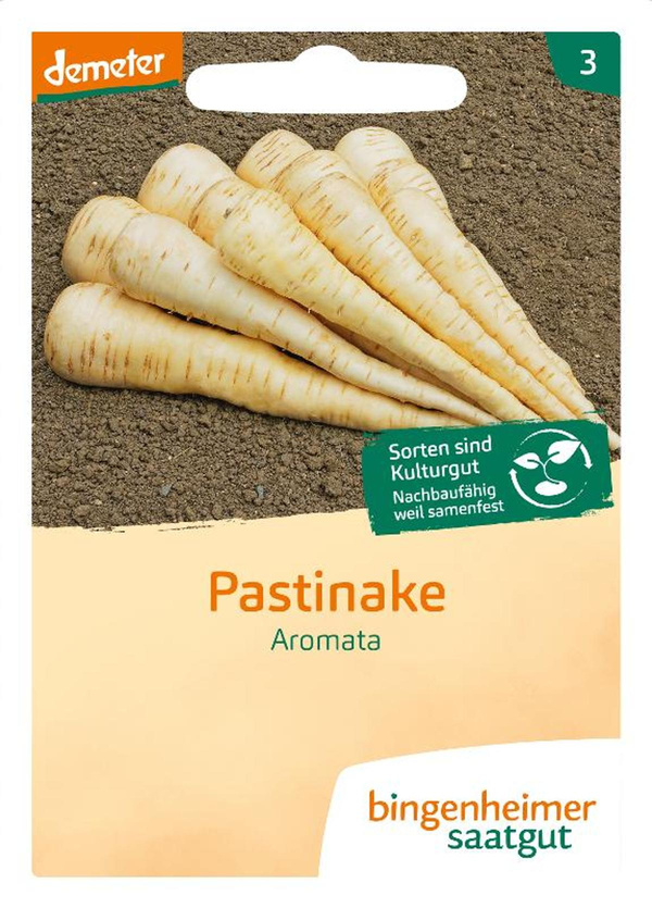 Produktfoto zu Saatgut Pastinake Aromata