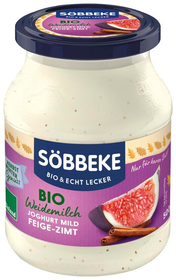 Produktfoto zu Joghurt Feige Zimt 3,8% 500g