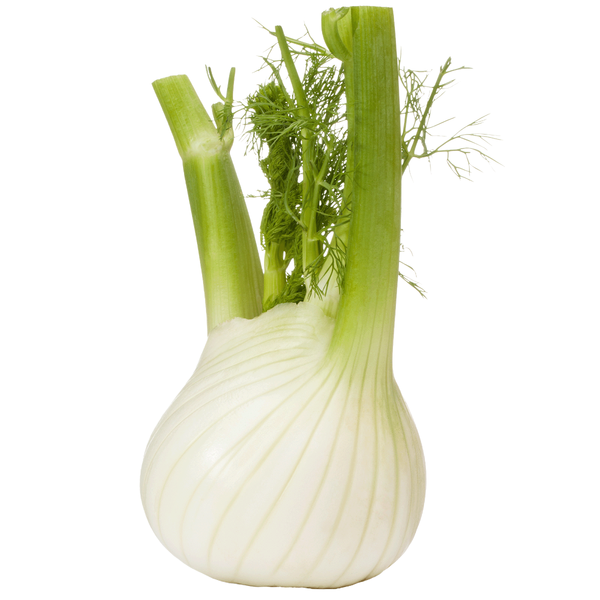 Produktfoto zu Fenchel