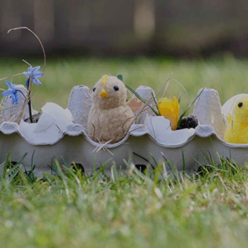 Ostern & Frühlingsboten