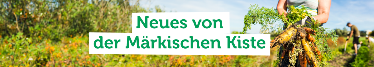 KI generiert: Person erntet Karotten in einem Feld. Text: "Neues von der Märkischen Kiste".