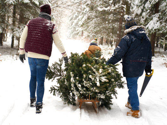 KI generiert: Familie transportiert Weihnachtsbaum auf Schlitten durch schneebedeckten Wald.
