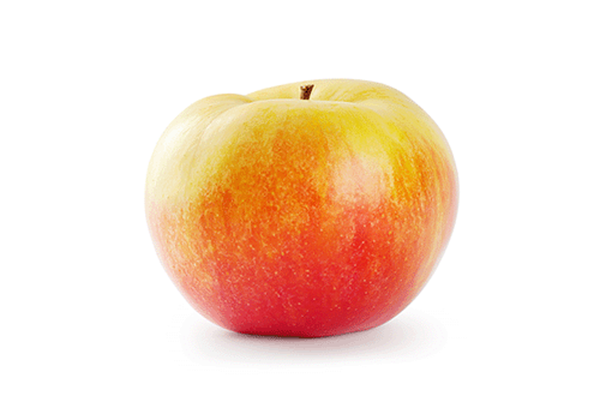 Produktfoto zu Apfel - Delbardestival