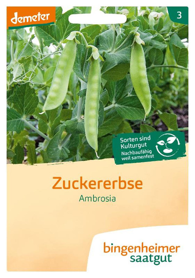 Produktfoto zu Saatgut  Zuckererbse Ambrosia