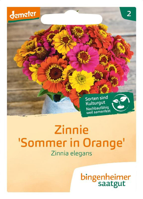 Produktfoto zu Saatgut Zinnie 'Sommer in Orange