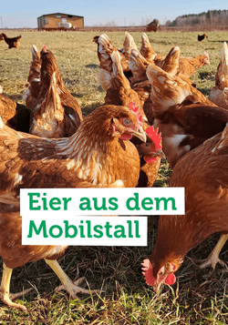 Produktfoto zu Was bedeutet eigentlich Mobilstallhaltung? Unser Eierlieferant Sebastian Klass klärt auf!