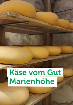 Produktfoto zu Unser Team war zu Besuch auf dem Gut Marienhöhe bei Bad Saarow und durfte bei der Käseproduktion dabei sein.