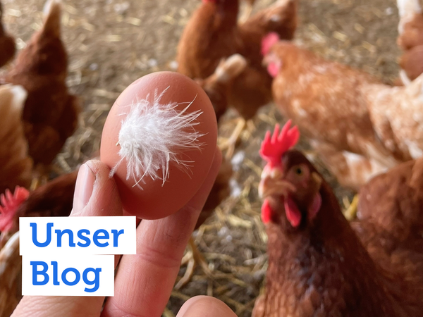 KI generiert: Eine Hand hält ein Ei mit einer Feder, umgeben von Hühnern. Text: "Unser Blog".