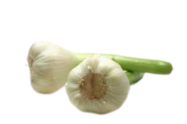 Produktfoto zu Knoblauch, frisch