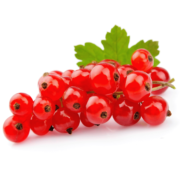 Produktfoto zu Johannisbeeren rot 250g