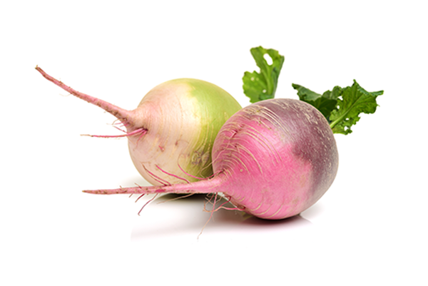 Produktfoto zu Rettich Mix