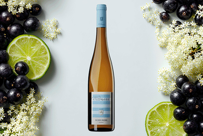 Produktfoto zu Scheurebe VDP. Gutswein, Weingut Wittmann, 0,75l