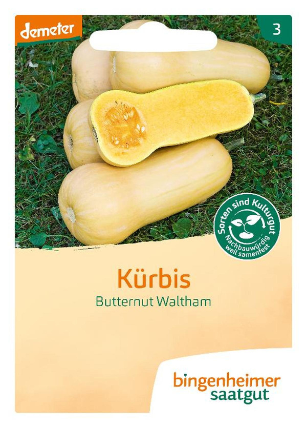 Produktfoto zu Saatgut Kürbis Butternut