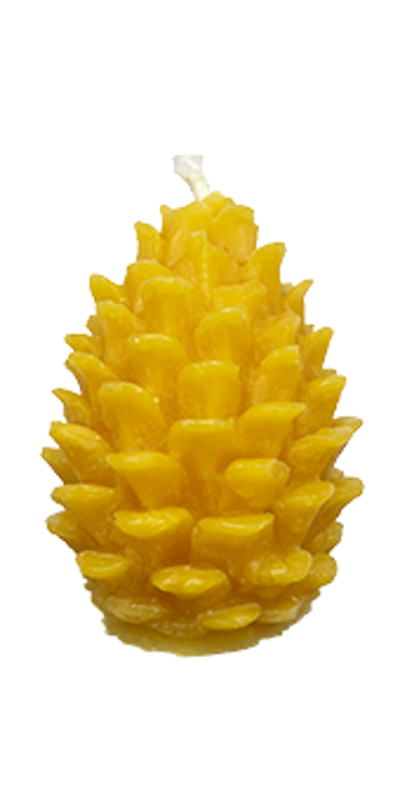 Produktfoto zu Bienenwachskerze Zapfen