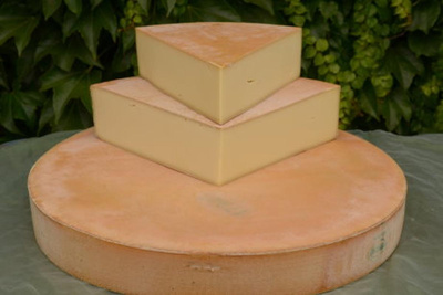 Produktfoto zu Hausbergkäse Felix Zillertal, Rohmilch