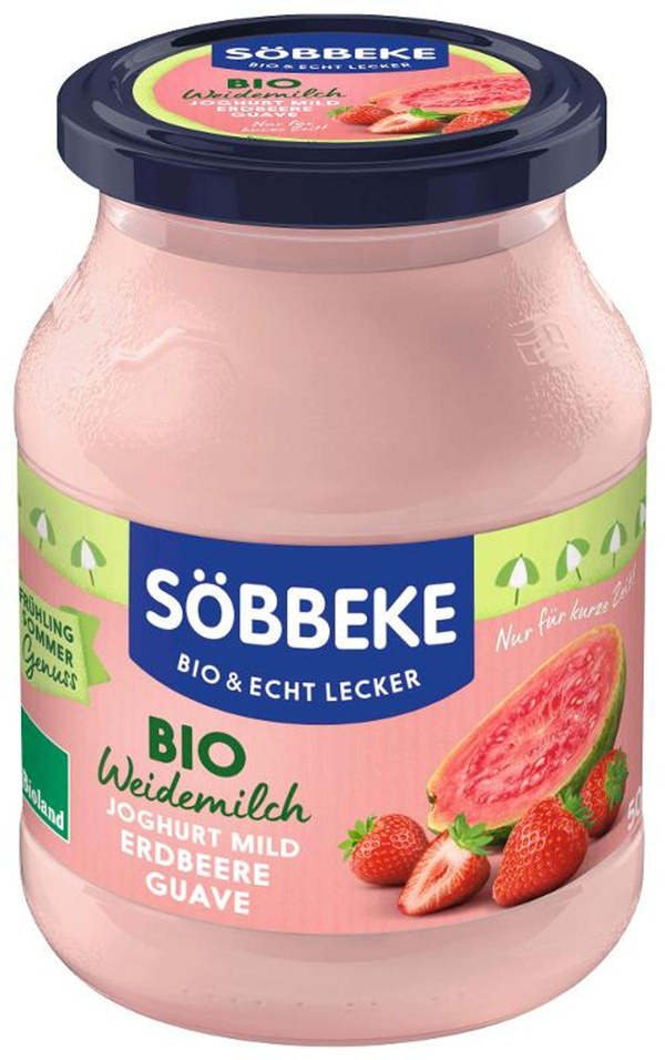 Produktfoto zu Joghurt Schwarze Johannisbeere 500g