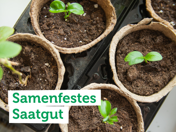 elbstgemachte Konfitüre in Gläsern; Text: "Konfitüre selbst gemacht".