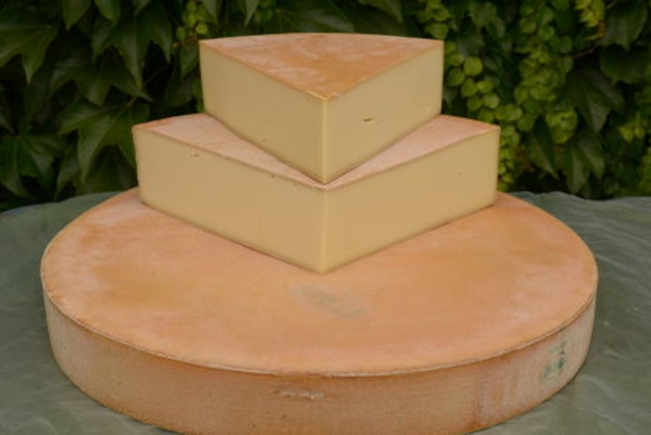 Produktfoto zu Hausbergkäse Felix Zillertal, Rohmilch