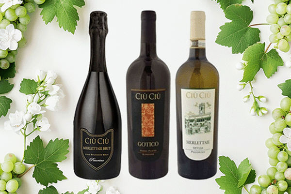 Produktfoto zu Italienisches Wein Trio direkt vom Erzeuger