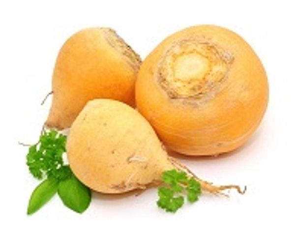 Produktfoto zu Butterrübchen Goldball