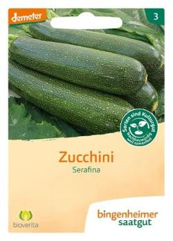 Produktfoto zu Saatgut  Zucchini Serafina