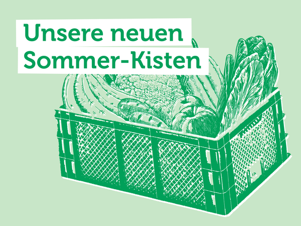KI generiert: Eine grüne Kiste mit Gemüse. Text: "Unsere neuen Sommer-Kisten".