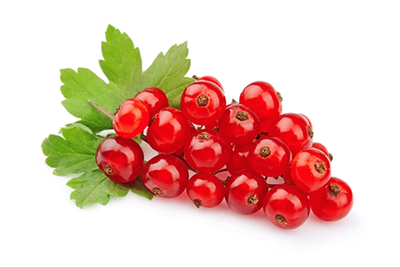 Produktfoto zu Johannisbeeren rot 250g