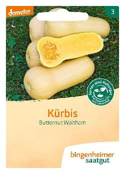 Produktfoto zu Saatgut Kürbis Butternut