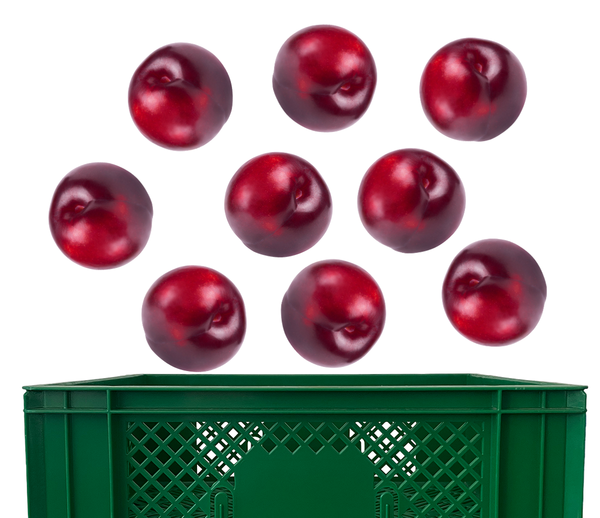 Produktfoto zu Pflaumen Kiste 5kg