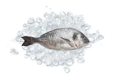 Produktfoto zu Dorade, ganz, küchenfertig, 400g