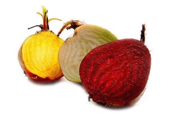 Produktfoto zu Bunte Bete - gelb, weiß und rot