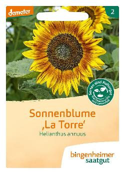 Produktfoto zu Saatgut Sonnenblume La Torre