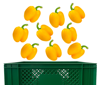 Produktfoto zu Paprika gelb Kiste 3 kg