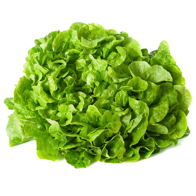 Produktfoto zu Salat - Eichblatt grün