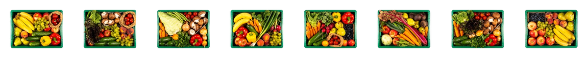 Eine Reihe von grünen Kiste gefüllt mit Obst und Gemüse
