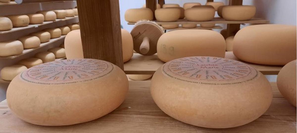 Produktfoto zu Leichte Marie Heumilchkäse 30% Fett, Rohmilch