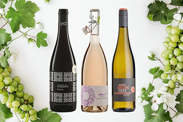 Produktfoto zu Kreatives Wein Trio