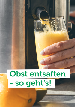 Produktfoto zu Du möchtest dein Obst & Gemüse entsaften? Hier erfährst du alles, was du wissen musst!