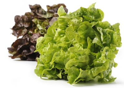 Produktfoto zu Salat der Woche (in kompostierbarer Tüte)