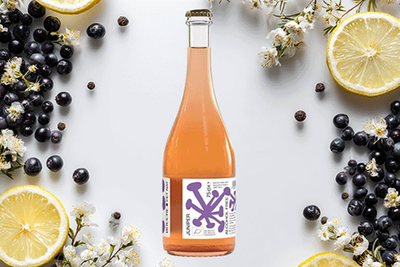 Produktfoto zu Kombucha Juniper Pet Nat Alkoholfrei 0,75l