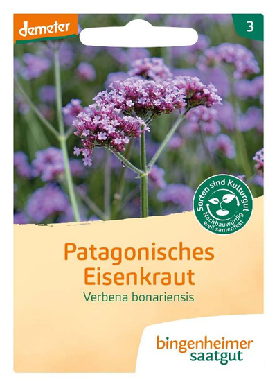 Produktfoto zu Saatgut Patagonisches Eisenkraut