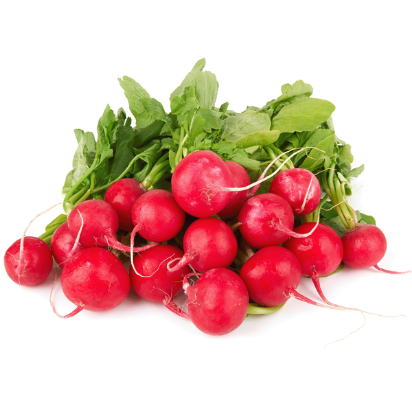 Produktfoto zu Radieschen