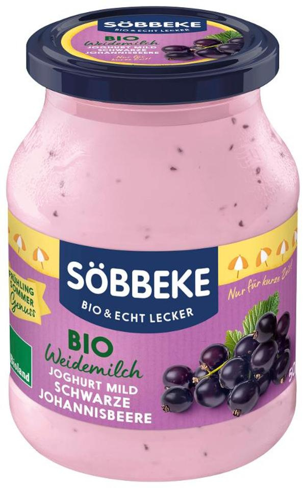 Produktfoto zu Joghurt Schwarze Johannisbeere 500g