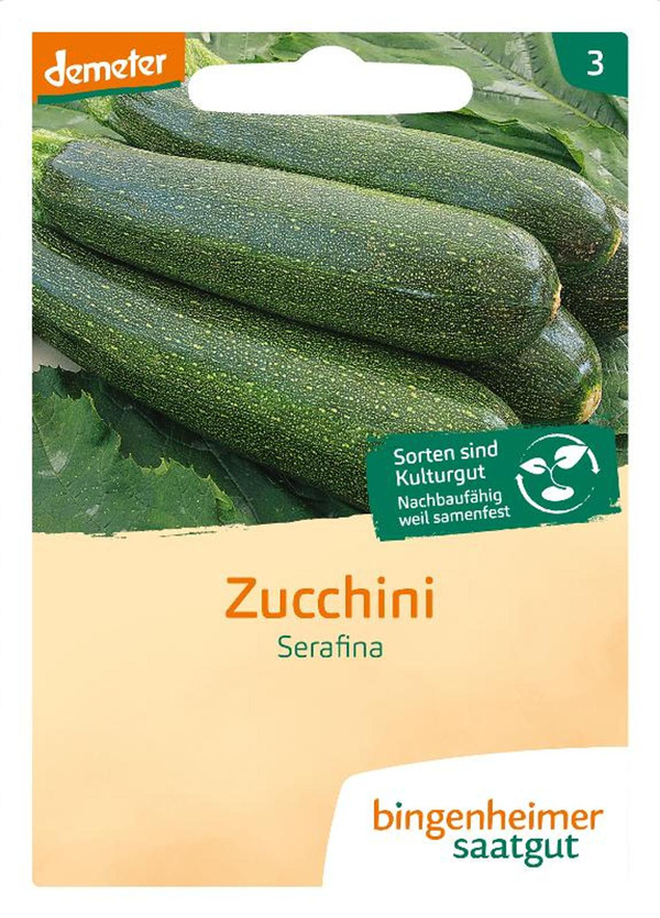 Produktfoto zu Saatgut  Zucchini Serafina