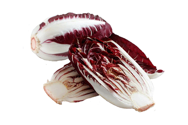 Produktfoto zu Radicchio Treviso