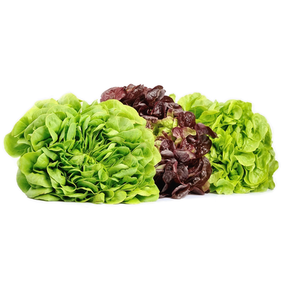 Produktfoto zu Salat der Woche (in kompostierbarer Tüte)
